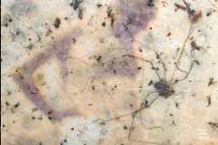 150 x 80 cm - Oil on Paper in Wax - Öl auf Papier in Wachs